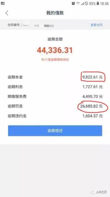 网贷9000要还4.4万!这项收费让人无语 网友:堪比抢人