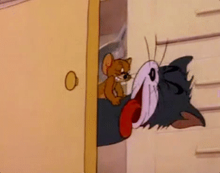 猫和老鼠表情包:为什么我不化妆?我素颜还不是为了吓