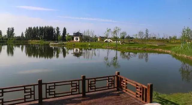 邯郸肥乡引黄河水"浇地"啦!清凌凌的水,让庄稼们喝个够!