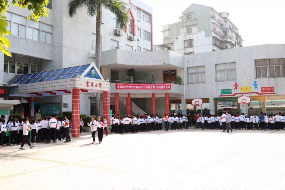 龙湖区在金珠小学举办2019年"世界水日""中国水周"主题科普宣传暨创客