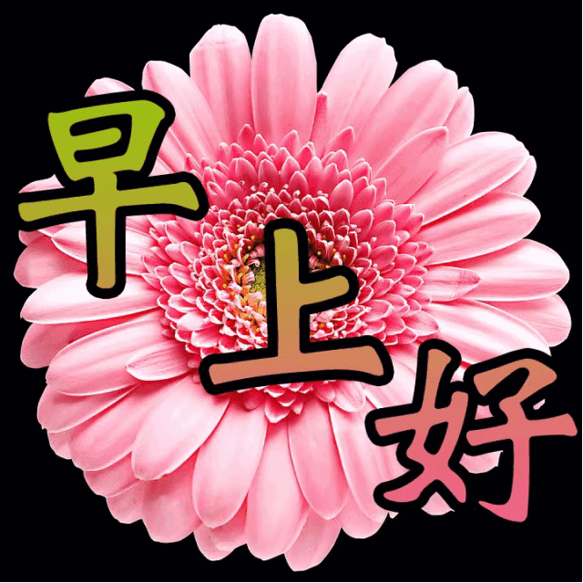 鼠年非常漂亮的祝福语图片带字带祝福语 鼠年健康久久