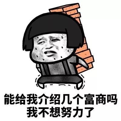 表情包:能给我介绍几个对象吗 靠我自己可能不行了