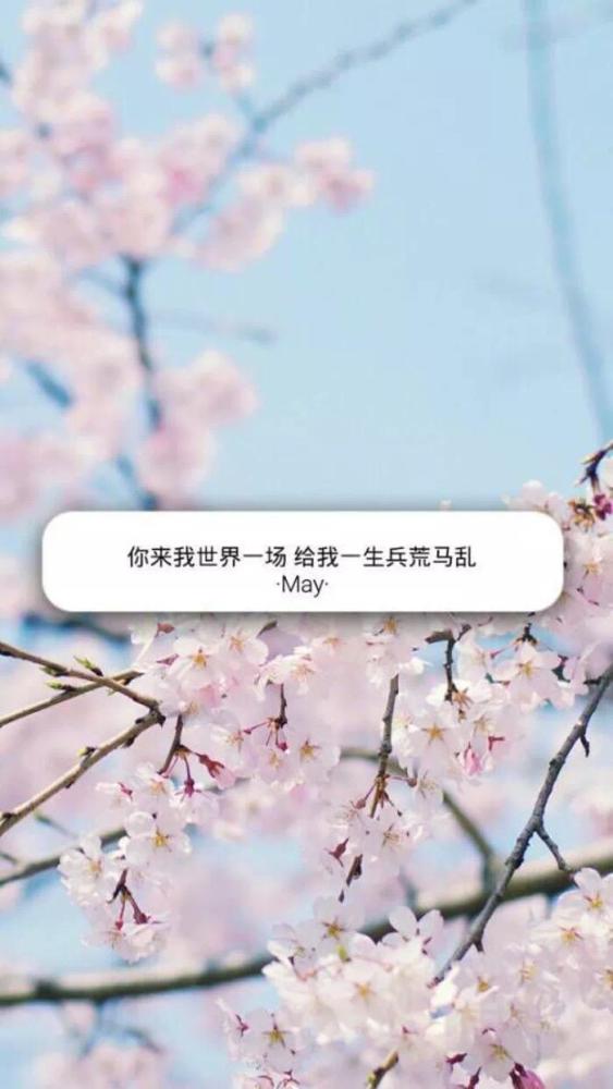 00后最爱·伤感·文字壁纸:此去不经年,后会终有期