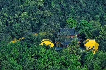 禅游赏花必备攻略！在寺院里遇见一整个春天