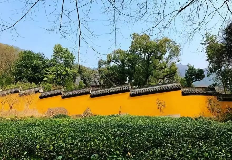 禅游赏花必备攻略！在寺院里遇见一整个春天