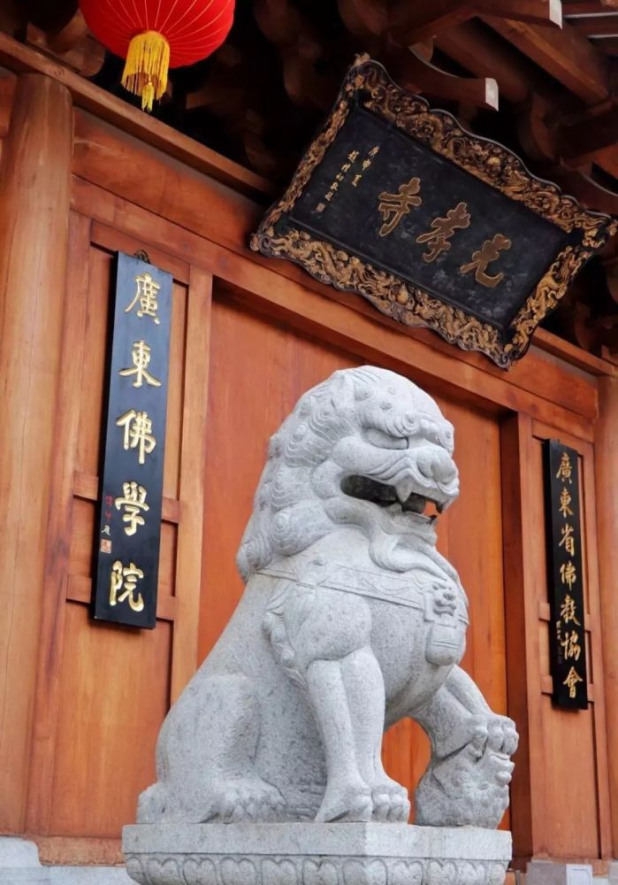 禅游赏花必备攻略！在寺院里遇见一整个春天