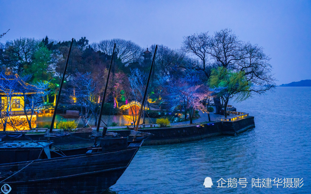 花间灯下,太湖鼋头渚夜晚赏樱原来可以这么美