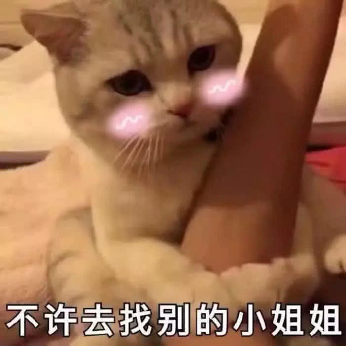 "喵星人"超火表情包:不然要我怎样?像只小猫一样撒娇?