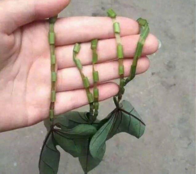 回忆杀!90后小时候的玩具,你知道这些叫什么名字吗?