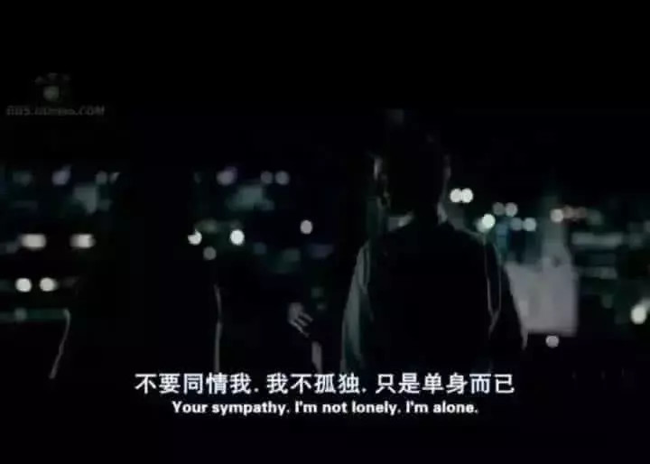 最心酸的台词:不要同情我,我不孤独,只是单身而已