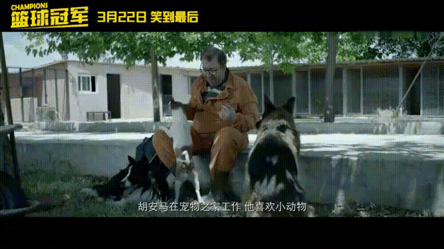 比《比悲伤更悲伤的故事》更催泪,看哭了