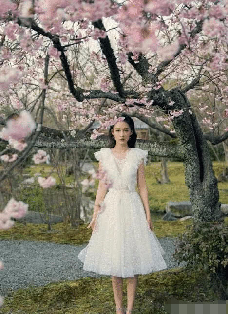 杨颖vs李沁,樱花妆谁最美?