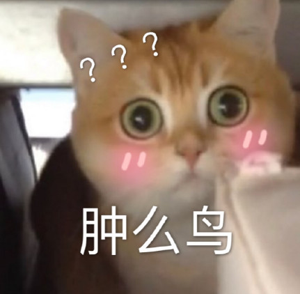 高清无水印动物萌宠专用表情包:我饿了,想吃肉肉!