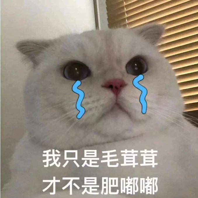 表情包:逃避现实的你,像极了西红柿番茄!