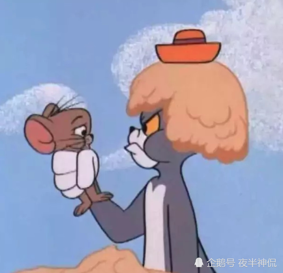 全网最火"杠精"头像,酷的像风,野的像狗,没人爱倒也自由!