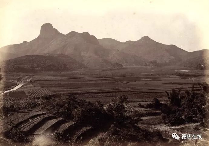 荷兰莱顿大学惊现1871年的德庆老照片,当时是这样的