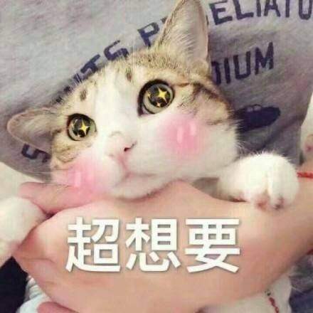 给你5张最潮"污污"表情包,让女生瞬间红了脸,脱单必备
