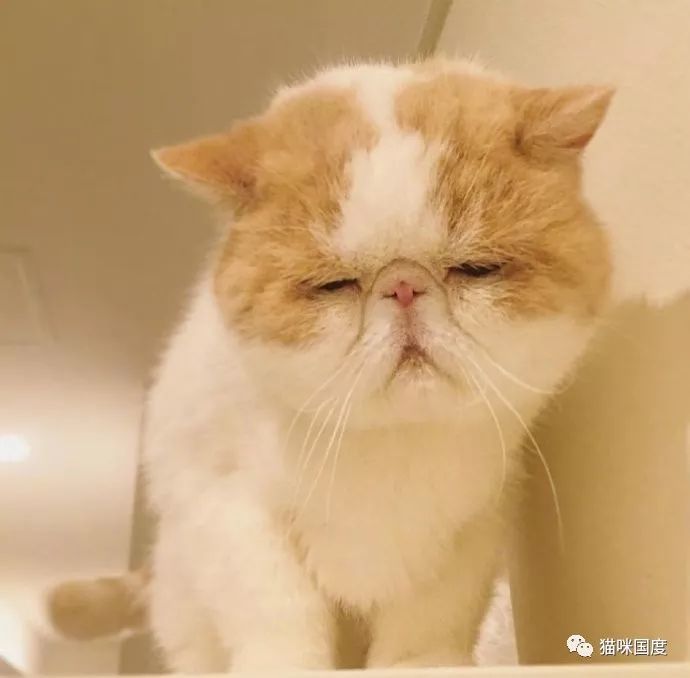 昏昏沉沉 腾讯网