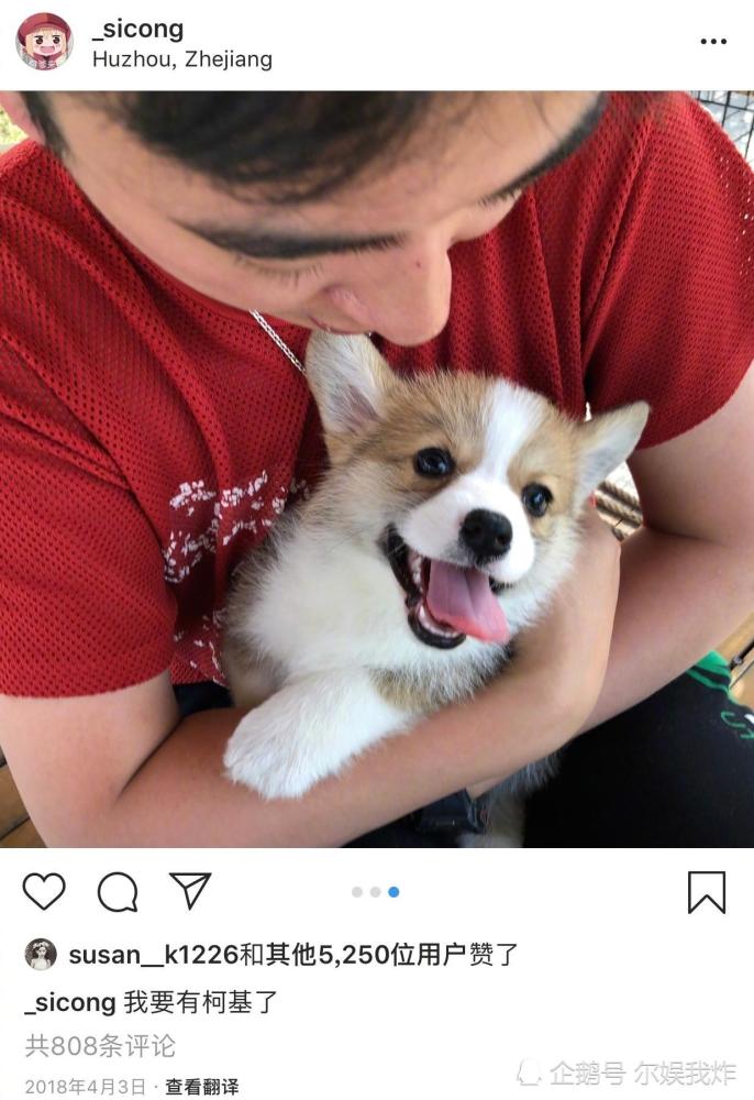 王思聪买鸭子要开动物园?确认价格后,网友:半