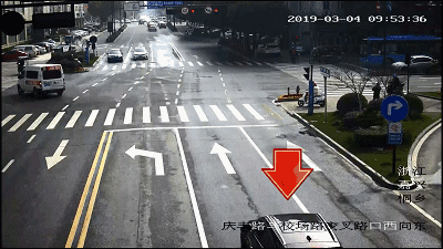 违法类型:驾驶机动车违反道路交通信号灯通行的 4 机动车所有人:詹