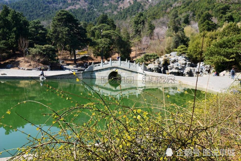 大美香山公园,满园春色百花齐放!赶紧踏春赏景吧