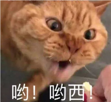 表情包:当你觉得自己又穷又丑的时候,不要悲伤!至少你