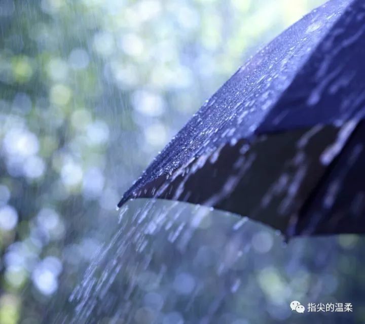 不属于我的伞,我宁愿淋雨走!