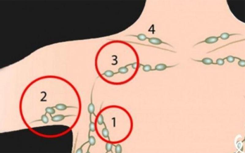 罗京去世整十年!对淋巴癌的信号,我们依然