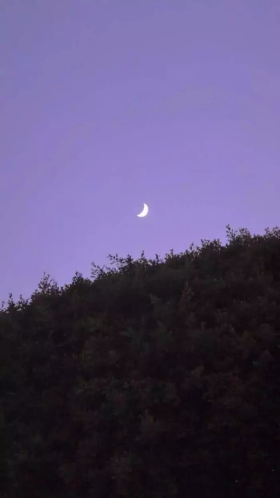ins·治愈系·qq背景图,想和你见星辰,谈往后的余生