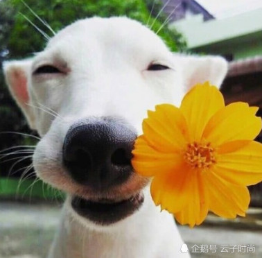 头像,情侣头像,沙雕,look