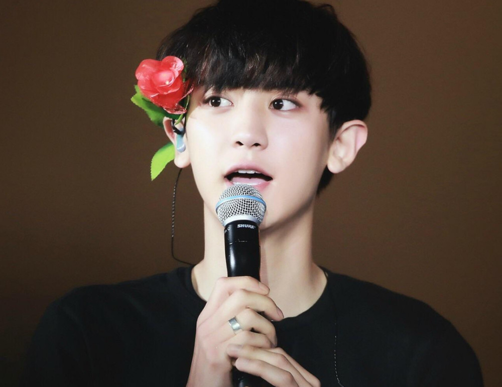 调皮可爱的个性,脸庞可爱,舞台上却又酷劲十足的朴灿烈