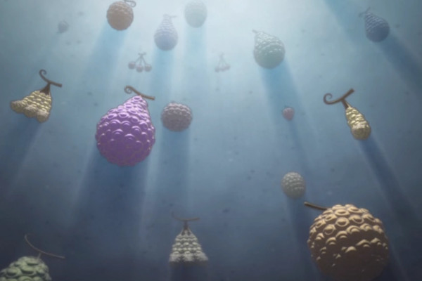 海贼王:恶魔果实排名之最竟是响雷果实?网友: