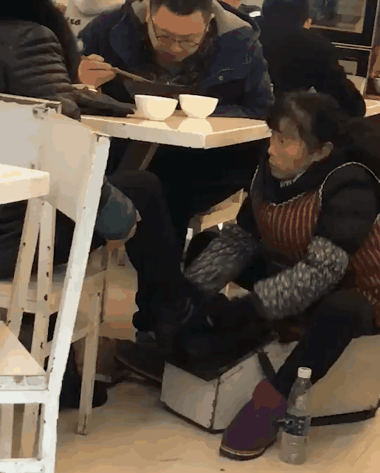 搞笑gif:小灰猫为了不去洗澡,竟然抱着椅子不放手!