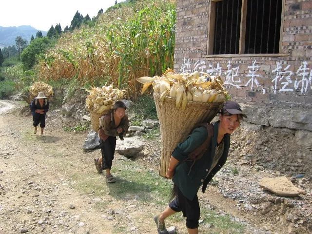 背篓,独特的符号,利川人最深处的记忆