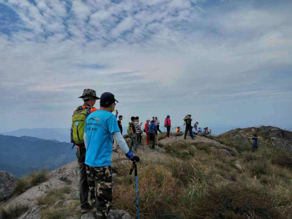公司组织爬山,老板允许自由活动,女员工率先登顶,隔天