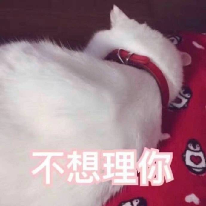 超有脾气的肥猫表情包:不要惹我,我是一只冷漠的狠猫