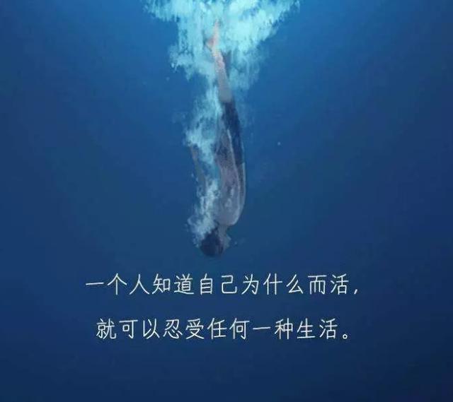 尼采的这句话,激励和鼓舞了多少人,真说不清.