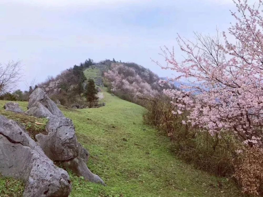 葛仙山位于湖北省赤壁市,崇阳两市县交界处,从赤壁市官塘驿镇葛仙山村