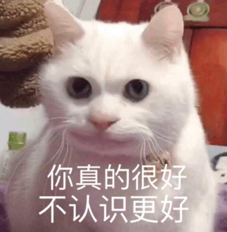 搞笑可爱的表情包,你真的很好