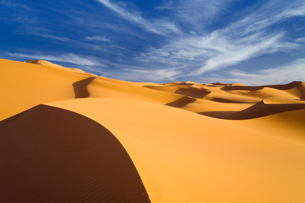 这里荒芜寸草不生 ,后来你来这走了一遭 ,奇迹般万物生长 ,这里是我的