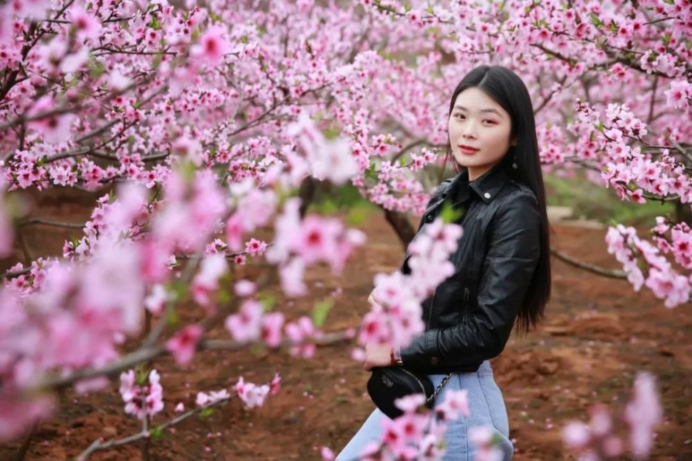 桃花树下,笑靥如花