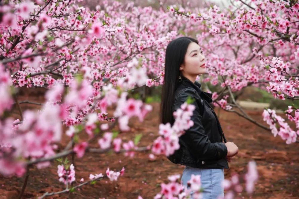 桃花树下,笑靥如花