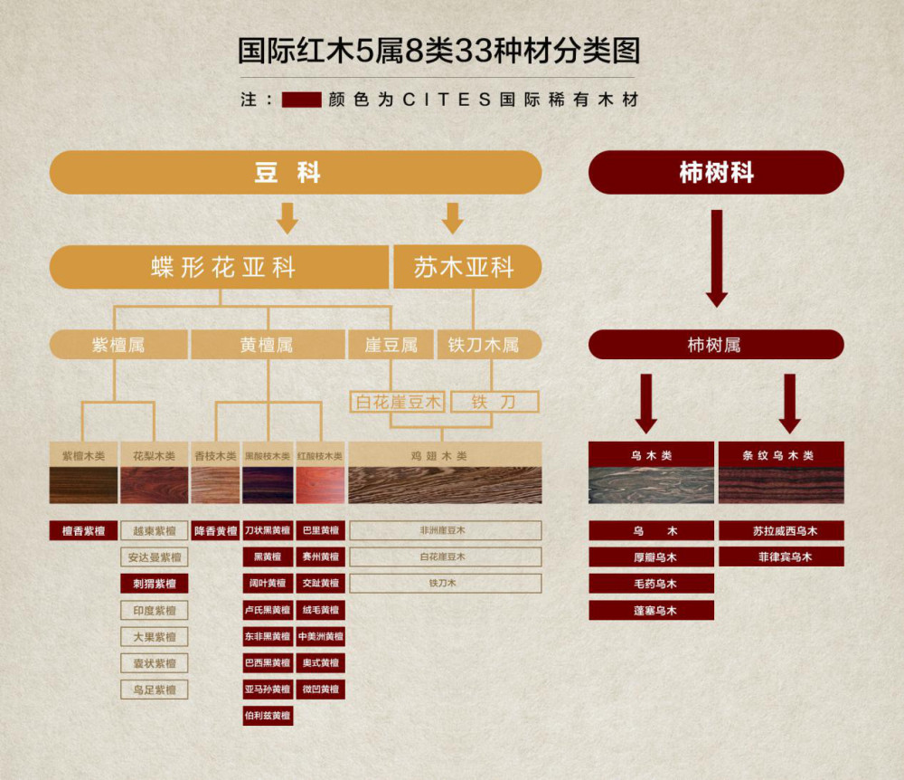 老:国标红木5属8类33种材