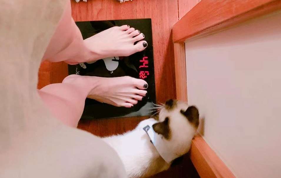 近日吴宣仪晒出了自己在体重秤上显示的体重:88斤.