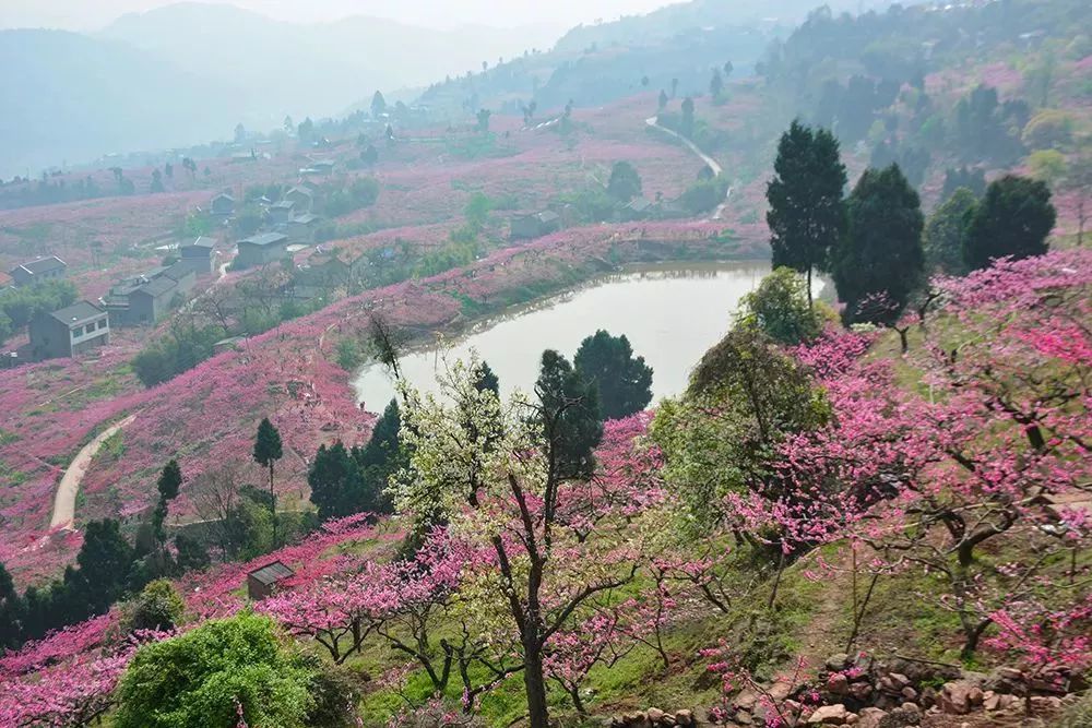 龙泉驿,山泉镇,瀑布,山谷,桃花故里