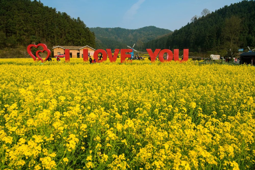 图文日志:新余渝水的下保村,一个美丽的新乡村