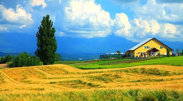 トップレート 北海道景色画像