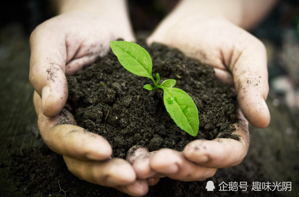 世界四大肥沃的黑土地,庆幸中国拥有一块,俄罗斯弄丢一块