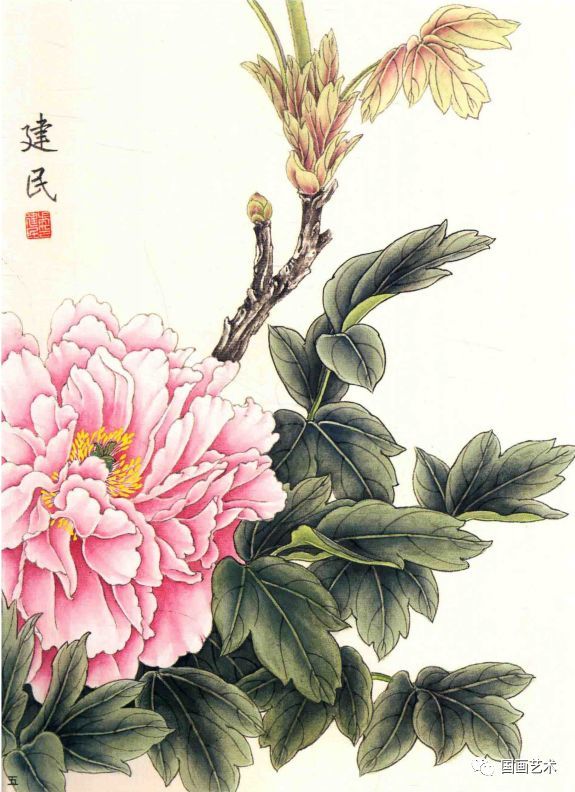 图文教程:工笔牡丹画法入门
