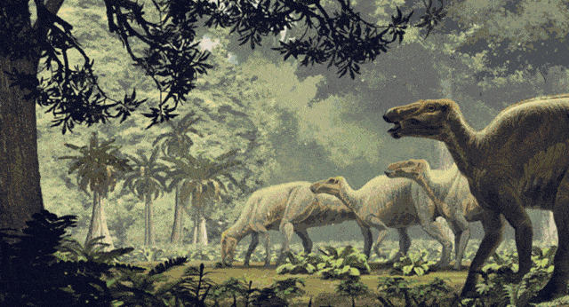 太阳绕银河一圈需要多少年?恐龙从诞生到灭绝,太阳只走了一圈